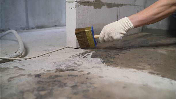 24/7 Emergency Crawl Space Encapsulation experts in Nunnelly, TN